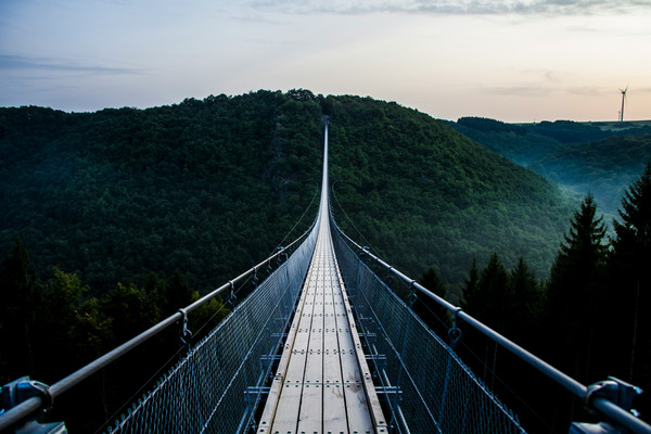 pathway_bridge.jpg