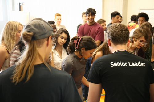 group of students participating in orientation activities