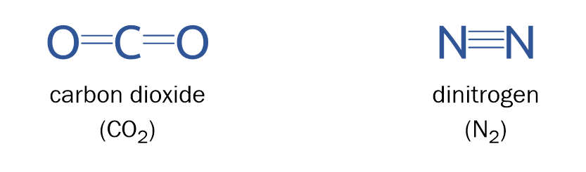 double (CO2) and triple (N2) bonds
