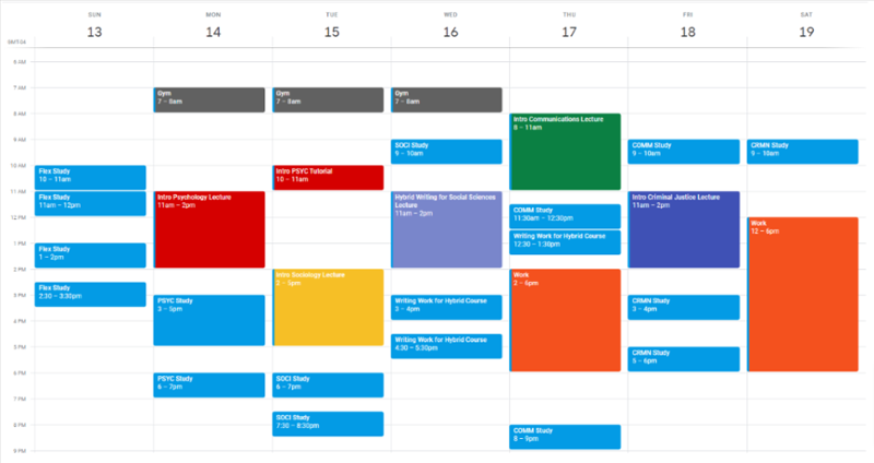 calendar view of a sample study plan layout