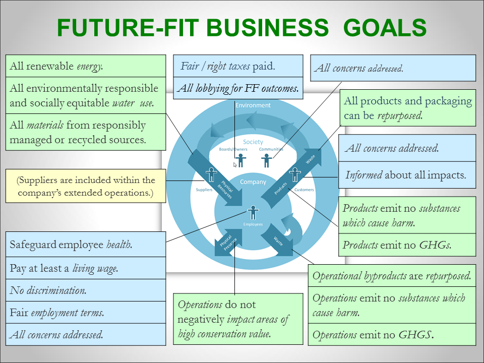 Future-fit business goals