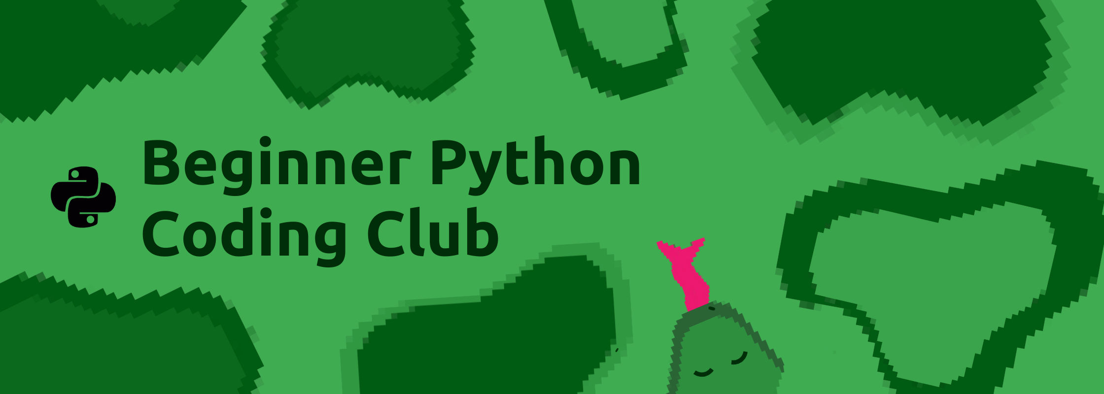 Banner for Beginner Python Coding Club