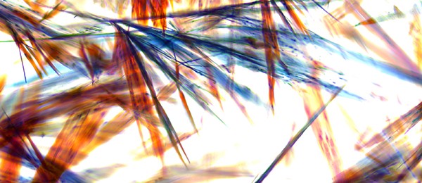 Multicoloured chlorate crystals viewed at 10x magnification.