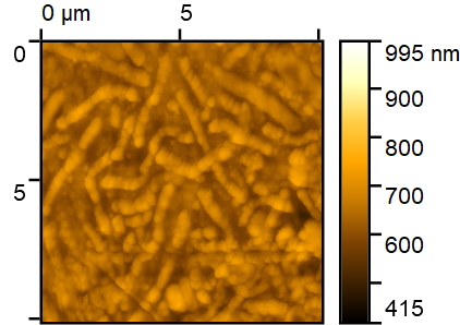 Atomic force microscopy image 6