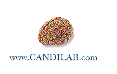 Clinical Affective Neuroscience Laboratory (CANdiLab) logo