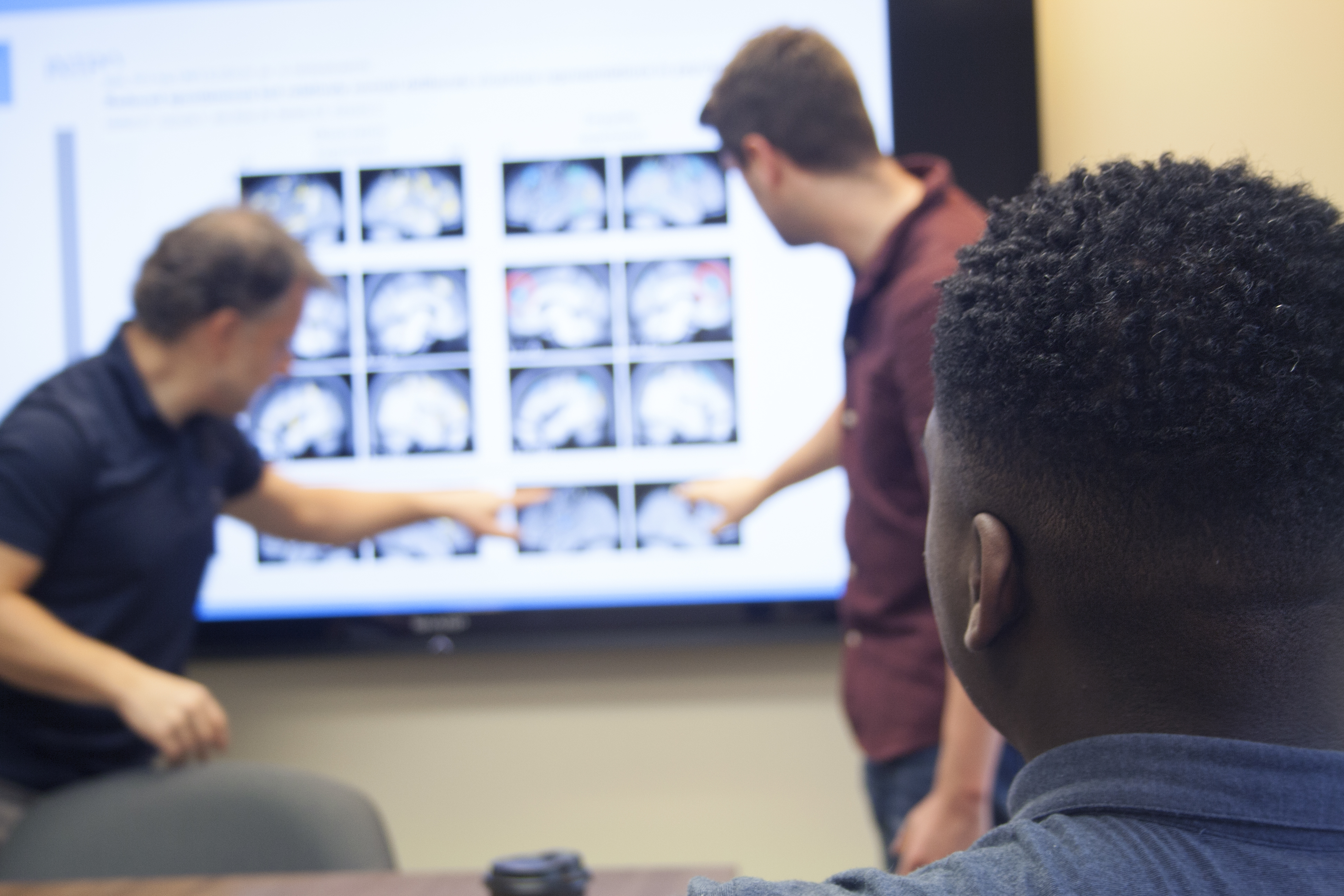 Students viewing brain images in the CANDiLab