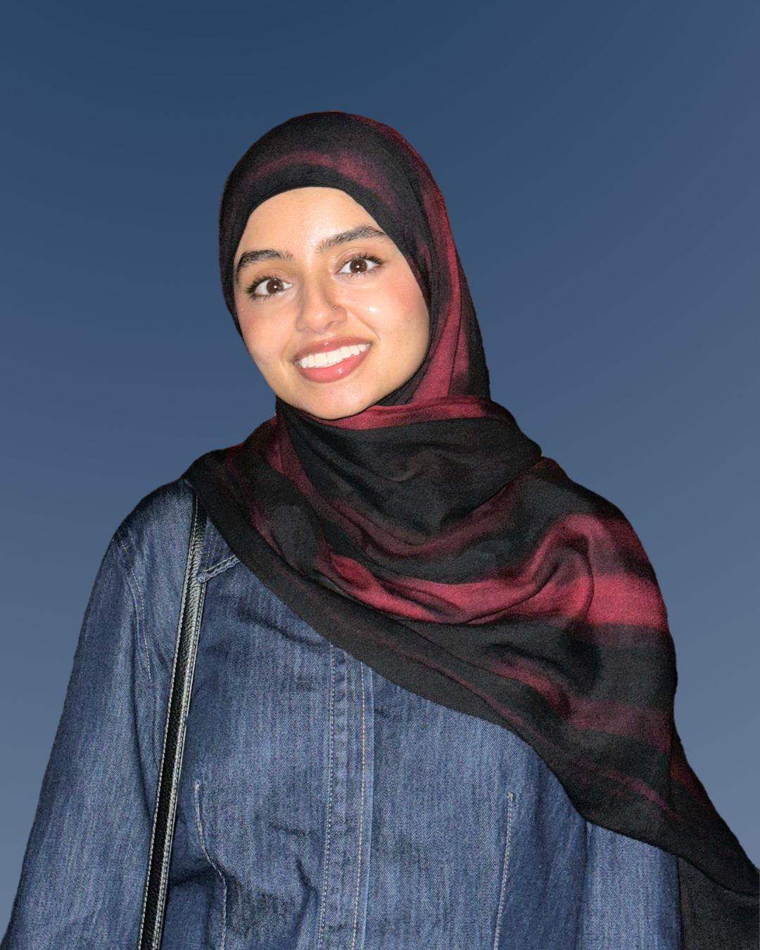 Photo of Sonia Mirza