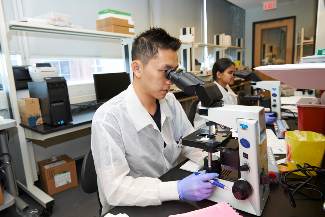 A male researcher sits at a table in a lab looking at a microscope