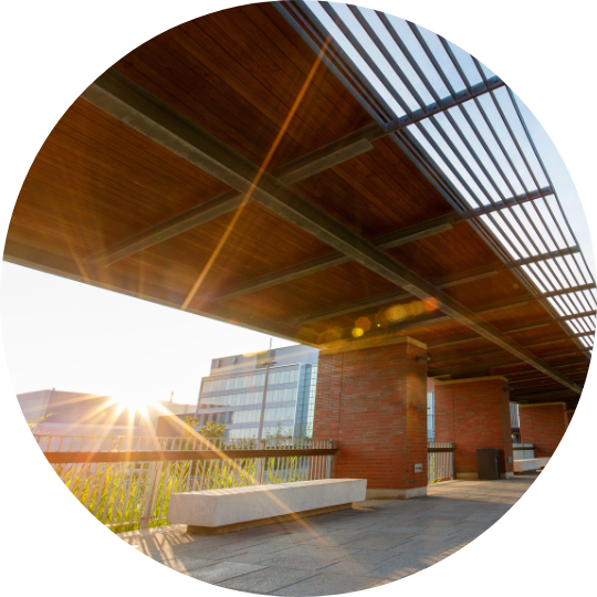 external shot of polonsky commons