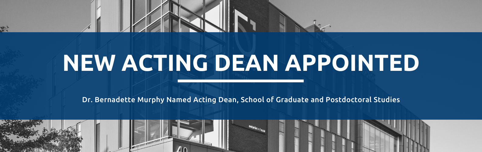 A graphic with the text 'New acting dean appointed Dr. Bernadette Murphy named acting dean, school of graduate and postdoctoral studies'