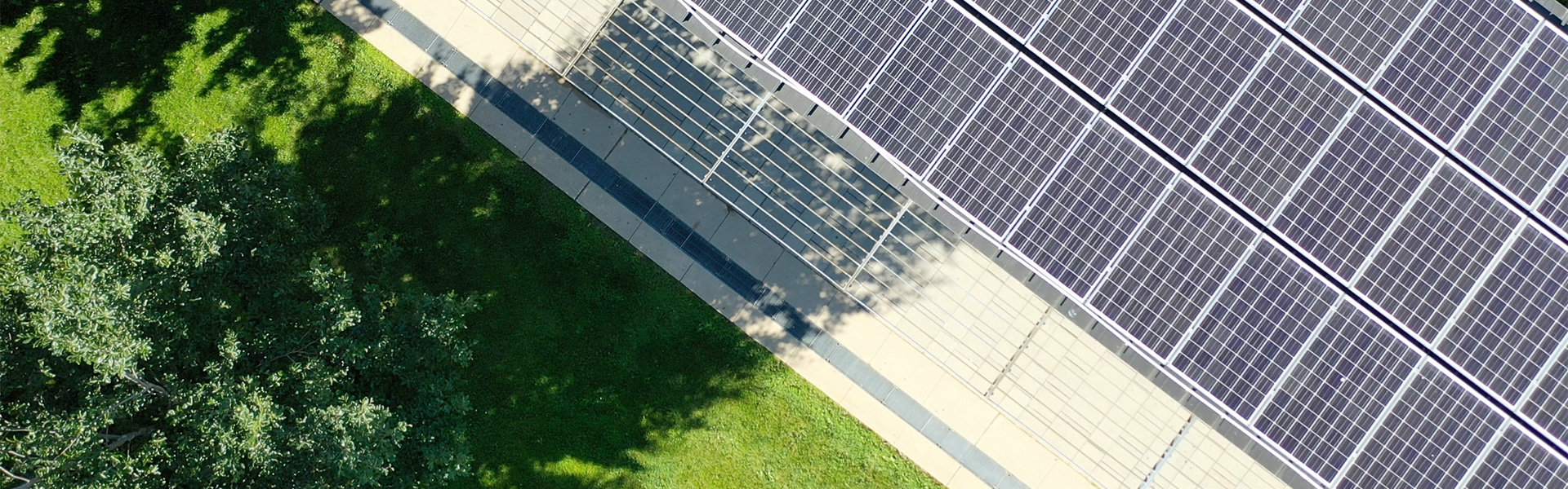 Solar panels in Polonsky Commons