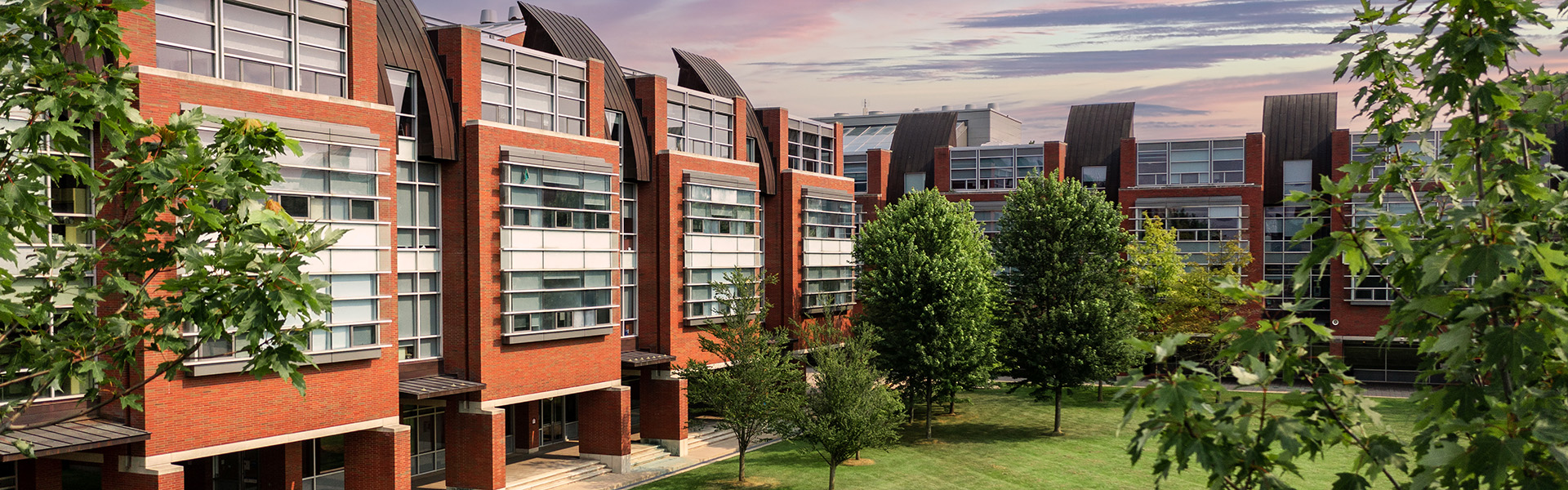 Polonsky commons